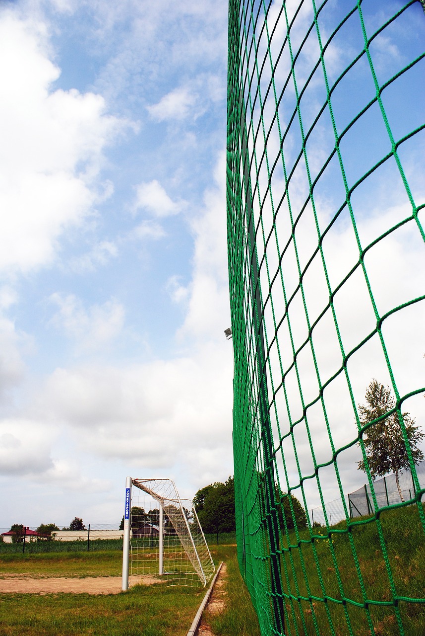 骑士队的明 骑士队的明