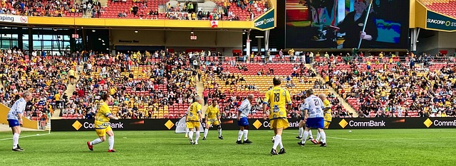 多个国家引 多个国家引