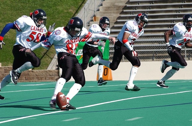 人畜无害 人畜无害